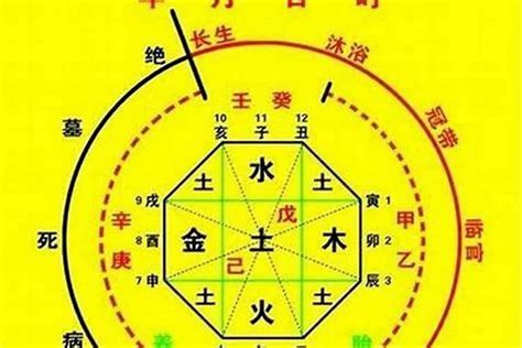 八字五行比例|生辰八字算命、五行喜用神查询（免费测算）